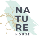 logo-4